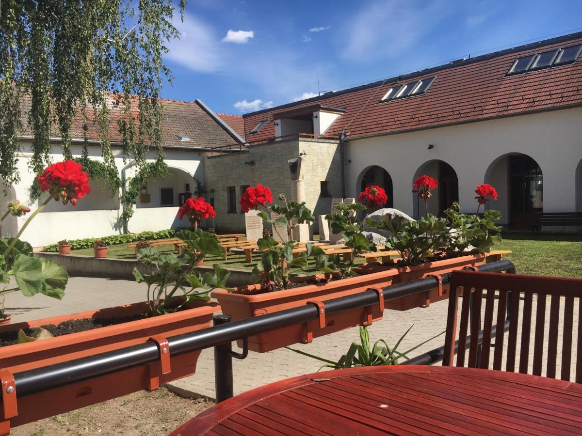 BodrogkereszturKereszturi Vendeghaz住宿加早餐旅馆 外观 照片